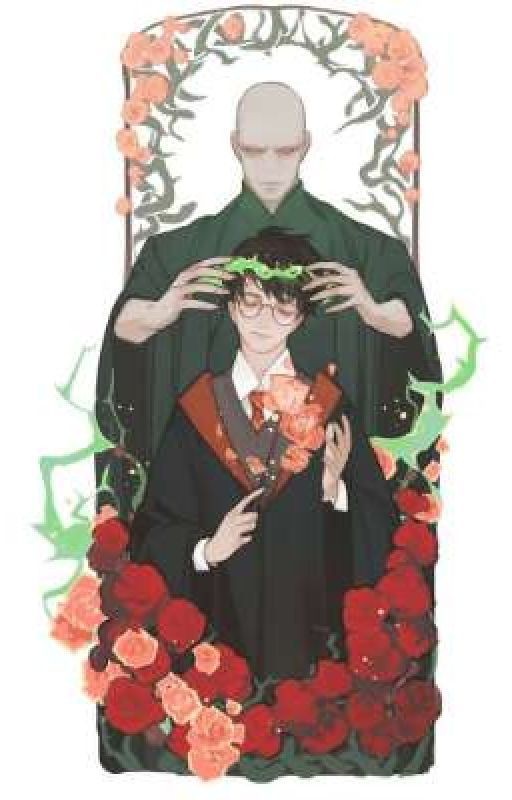 Гарри Потерр Джеймс и Воландеморт(Том) Мараоло Редл