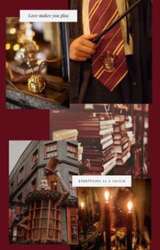 Новенькие?...Из России?