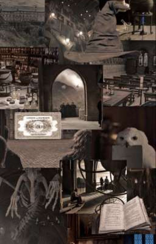 Когда мечты сбываются 2