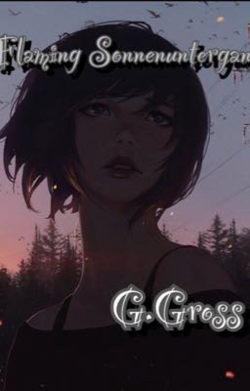 Flaming Sonnenuntergang