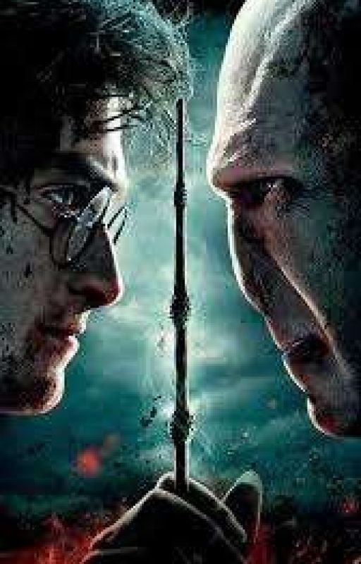 •𝓗𝓐𝓡𝓡𝓨 𝓟𝓞𝓣𝓣𝓔𝓡 -𝓡𝓔𝓐𝓒𝓣𝓘𝓞𝓝𝓢 𝓣𝓞 𝓨/𝓝•