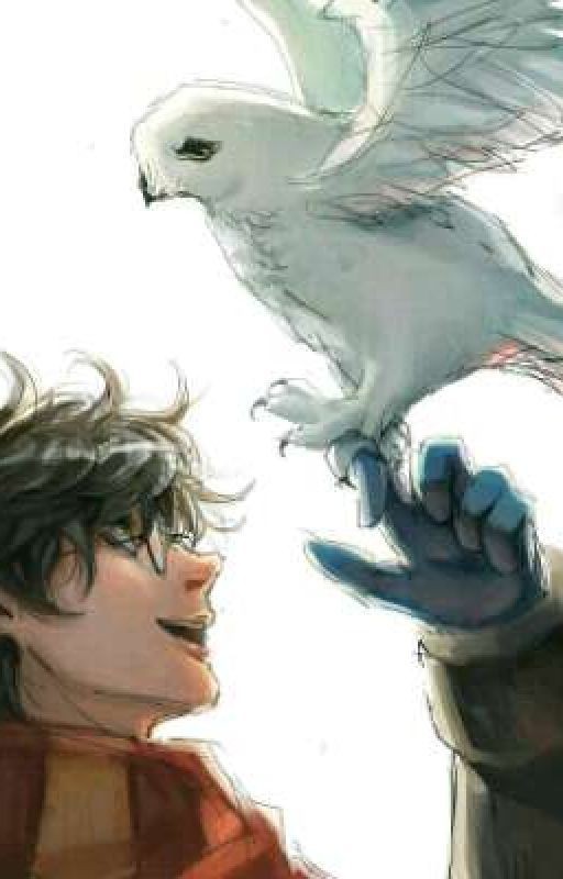 Гарри Поттер и Гермиона Грейнджер: Дети Войны Часть 1