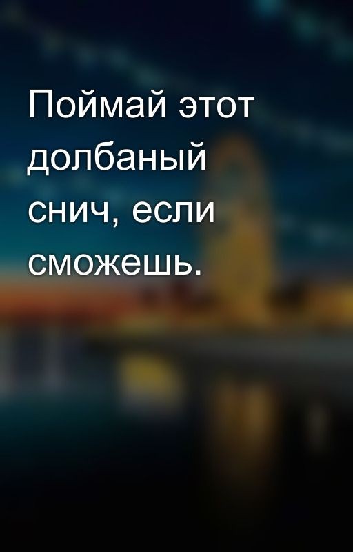 Поймай этот долбаный снич, если сможешь