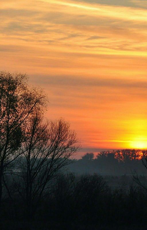 Балл .Гарри Потеер