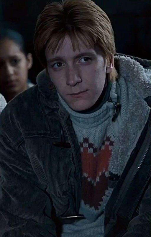 Одаа, души меня Фред Уизли