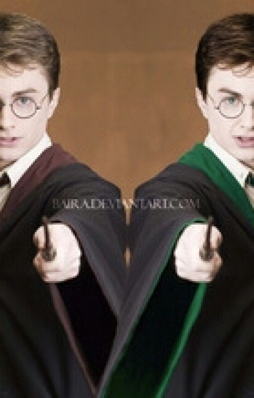 Гарри Поттер и Дух Хроноворота