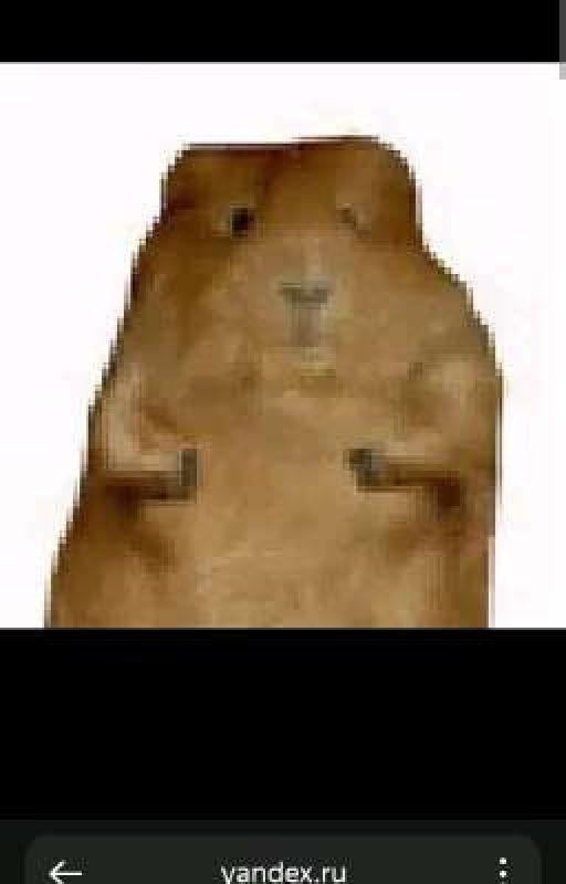 Гарри Поттер