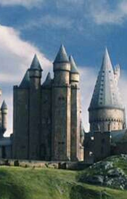 Хогвартс читает книги о Гарри Поттере. Перевод "Махаон"