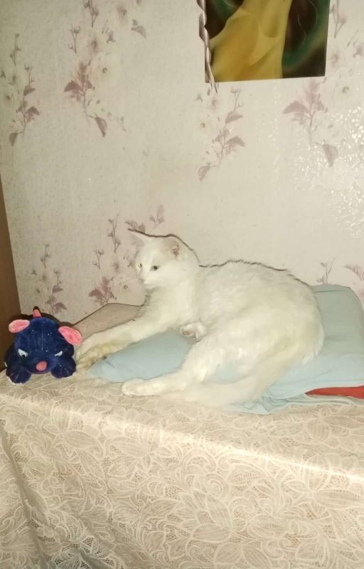 Гарри Поттер. Суд магии. Узник Азкабана