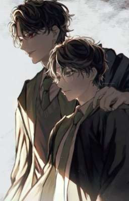 Гарри Поттер : другая сторона медали