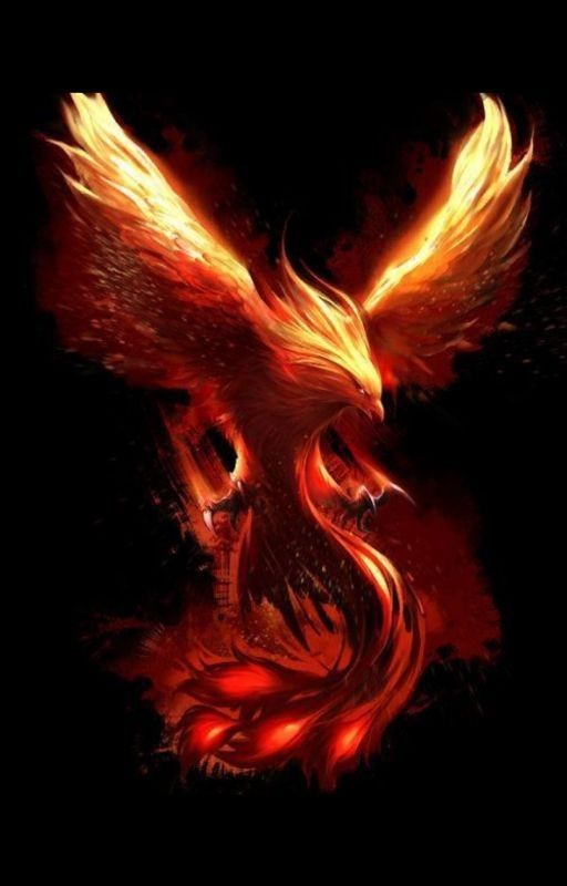 Гарри Поттер и Тень Феникса