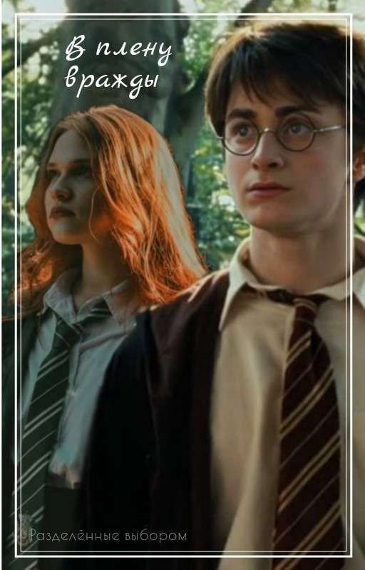 Гарри Поттер "В плену вражды"