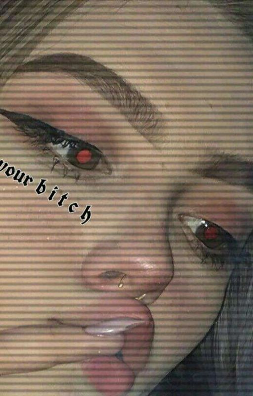 .•°greyhound°•