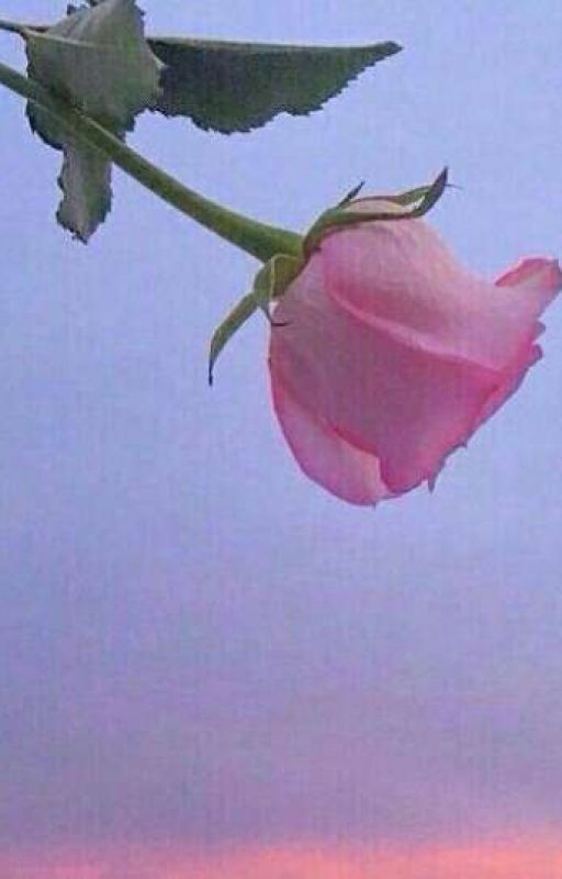 "Воздушные змеи"  Ромен Гари