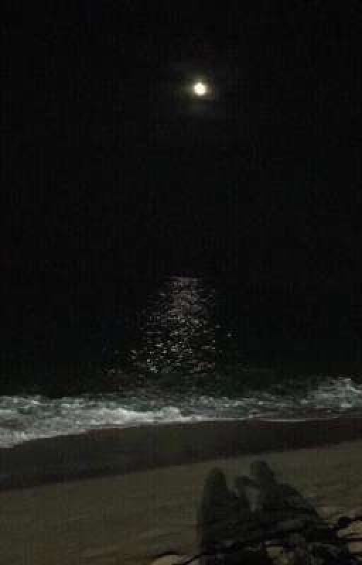 Туда, где море подслушивало нас