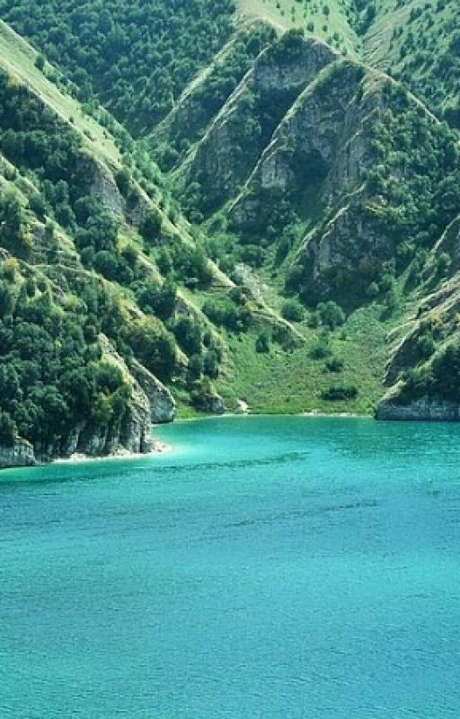 Кавказская жизнь