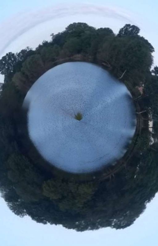 кровь под мольбертом