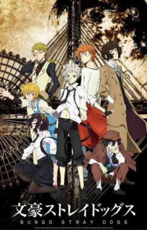 Реакция великих из бродячих псов на т/и