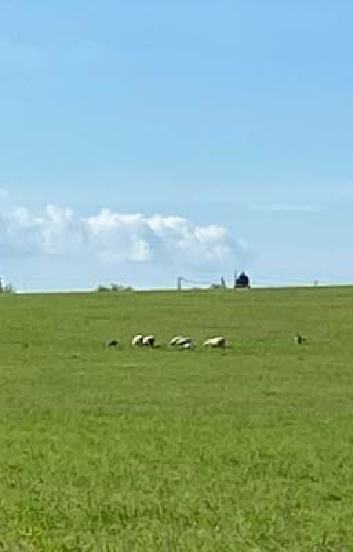 Стихи «природа»