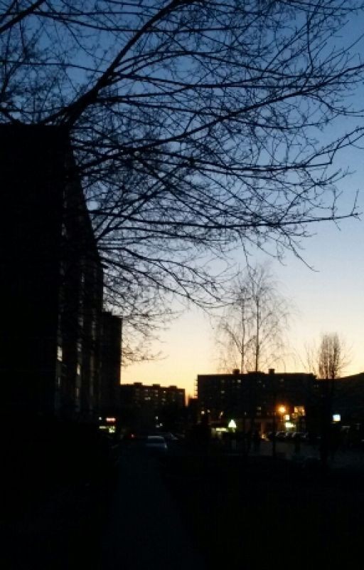 Максим Горький. Мой Спутник