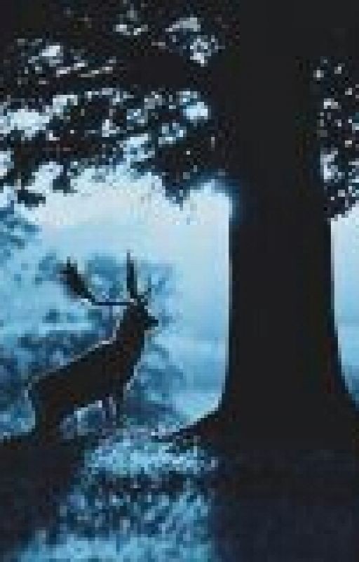 Победитель