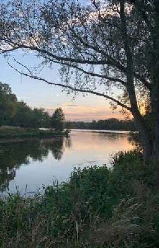 От прошлого к настоящему (стихи)