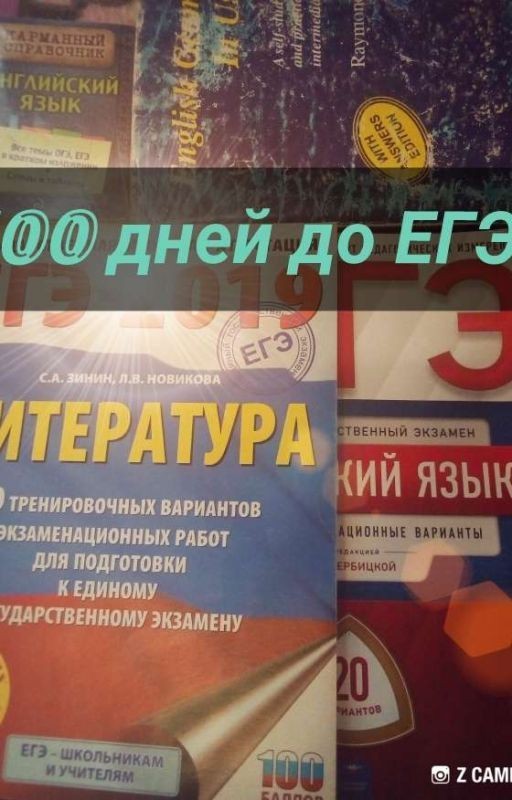 100 дней до ЕГЭ🕥📕📘📖.Мой путь к успеху