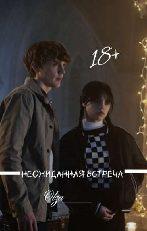 Неожиданная встреча