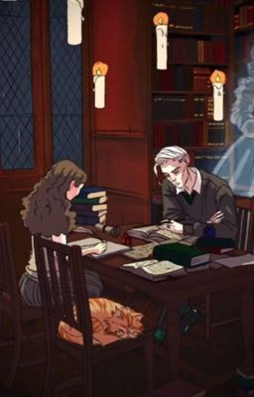 Любовь по сценарию