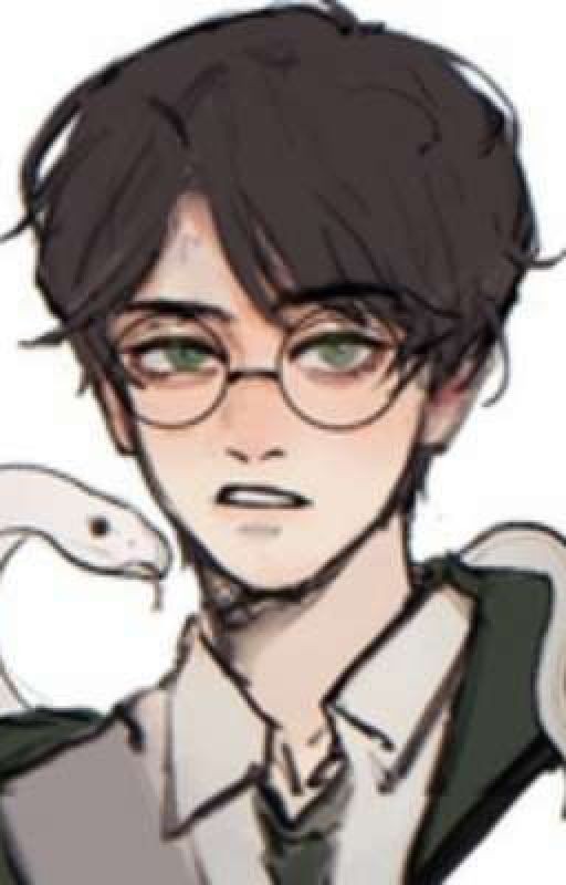 Гарри Поттер и система игрока