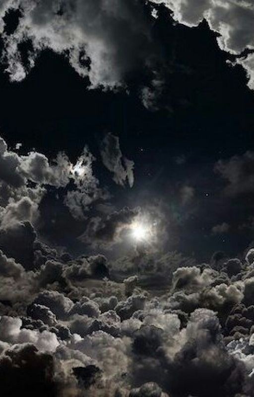 "Дневник Со Страданиями"