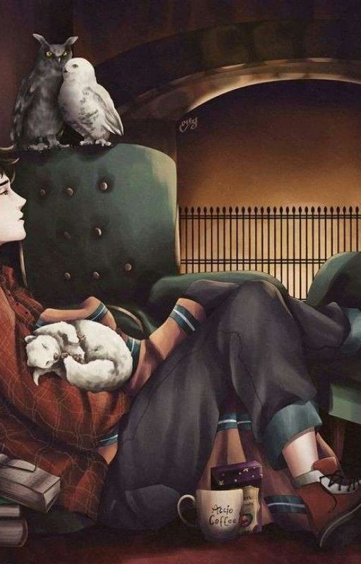 Наконец-то ты понял Драко {~ЗАВЕРШЕН~}