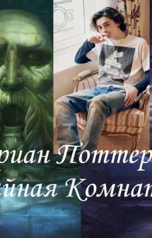 Адриан Поттер и Тайная Комната