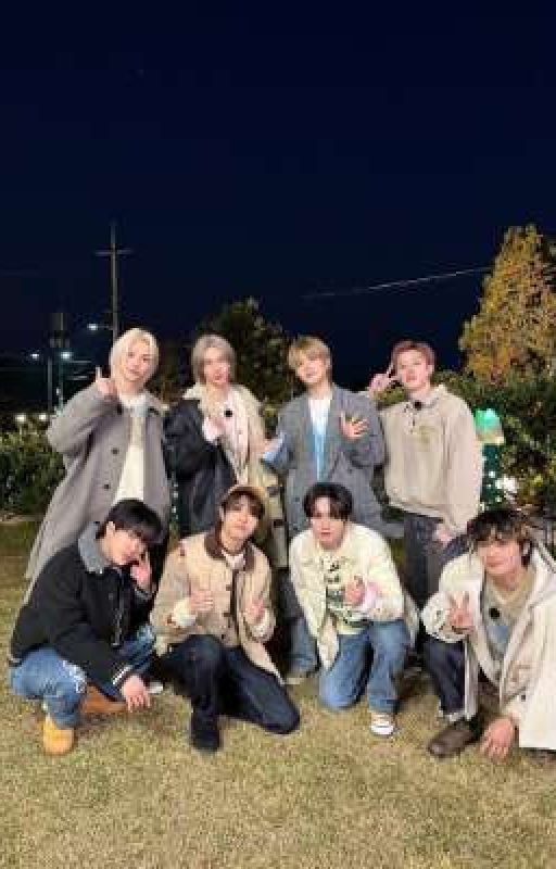 9 Участница..|| Stray Kids