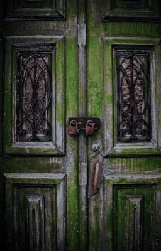 Зильбер.Второй дневник сновидений