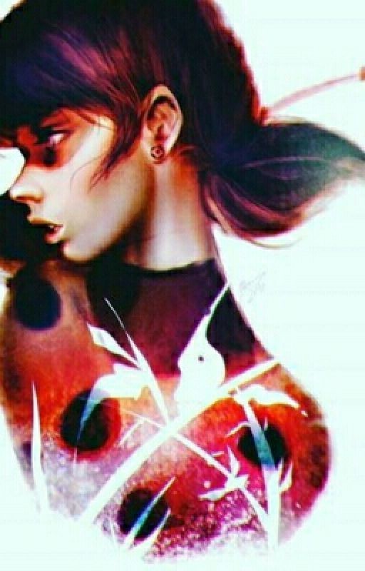 ЛедиБаг и КотНуар