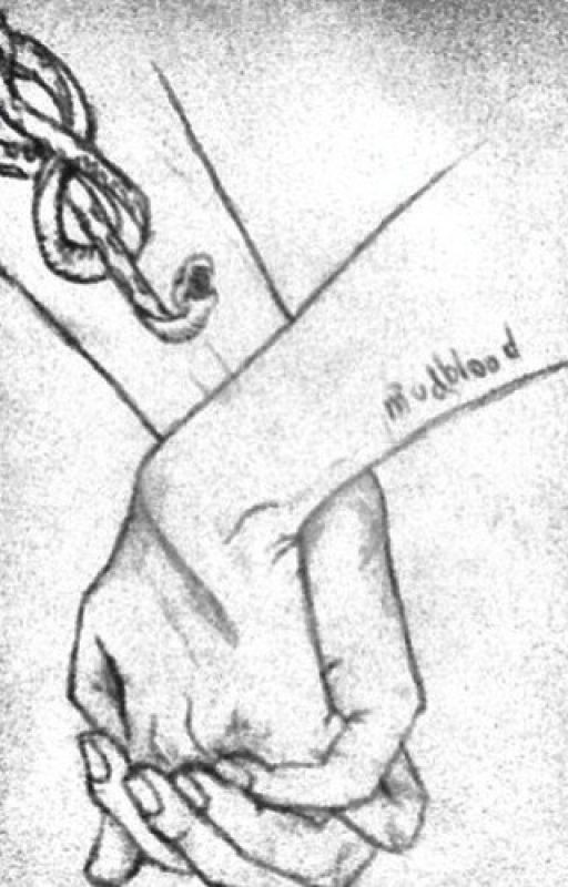 Шестой курс