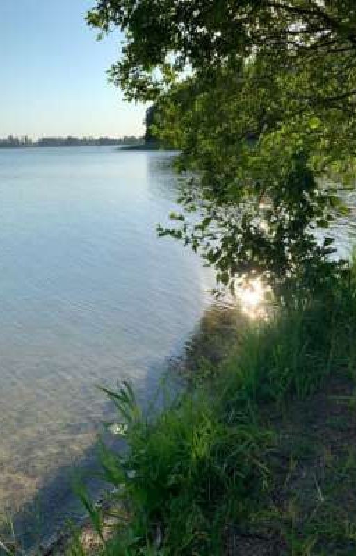 Тайны озёрного острова