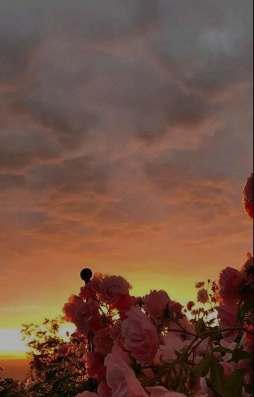 Ͽӄӡσρҵμϲτ/Ϻμϕσμϲӄατελƅ 2