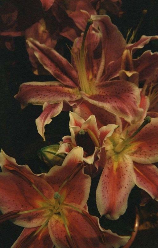 Мой профессор по случайности