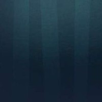 suspects-shipp