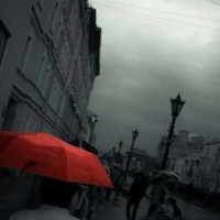 wind-live
