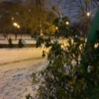 ve1lichor