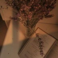 lemi-official