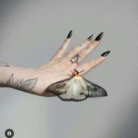 liza-qwerti