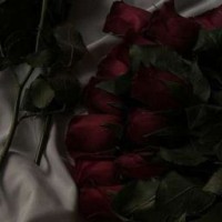 svet-lana-5748