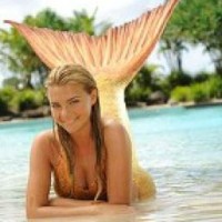 kate-book