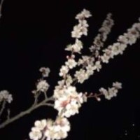 user19332626