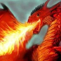 nadya-dragon