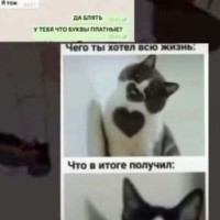 mira006969